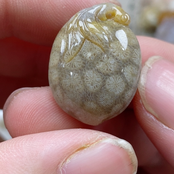 颈饰未镶嵌硅化珊瑚（珊瑚玉）小