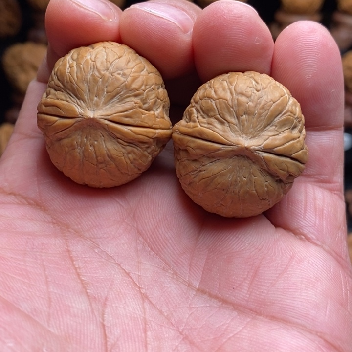 把件文玩核桃11小钢炮