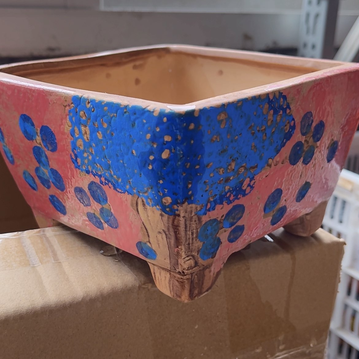 【闪购商品】红陶福利