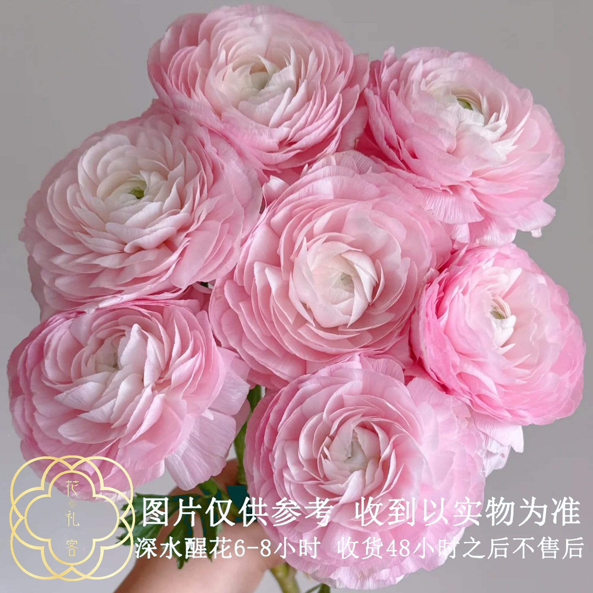 七叶花坊# 【随机洋牡丹】高品质洋牡丹 鲜花优选 顺丰直发