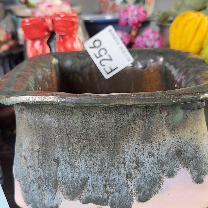 重庆小燕子欢迎大家256