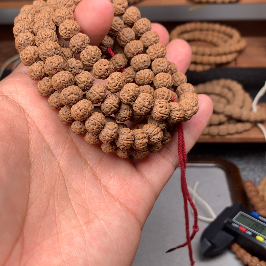 金刚菩提吊坠记****乐老树王