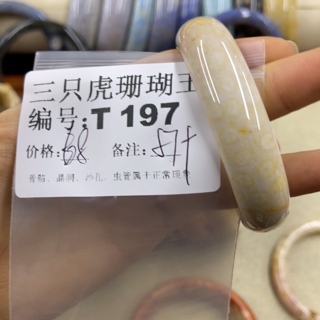 无***念硅化珊瑚（珊瑚玉）未镶嵌h