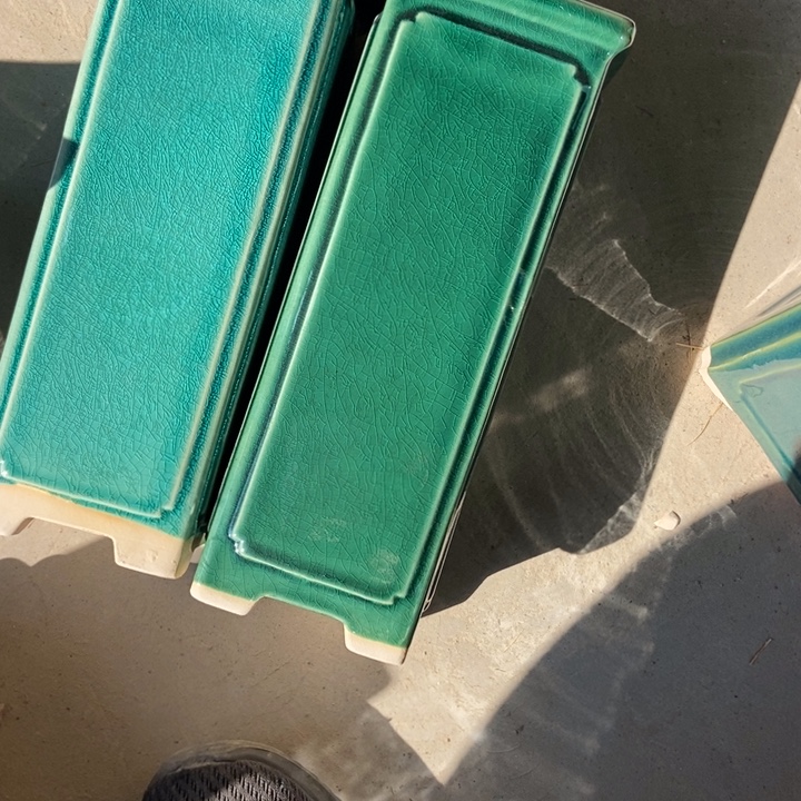 花盆花盆花盆花盆