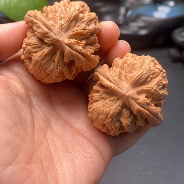 会***树文玩核桃把件红锦鲤44尺