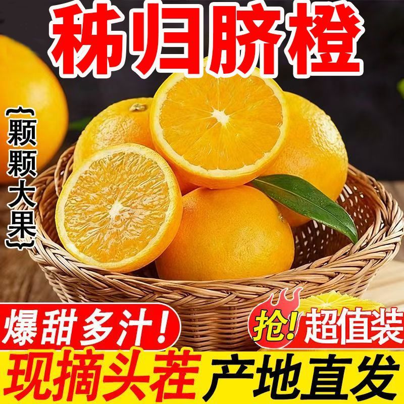 三峡秭归高山脐橙当季新鲜水果自家农场现摘现发