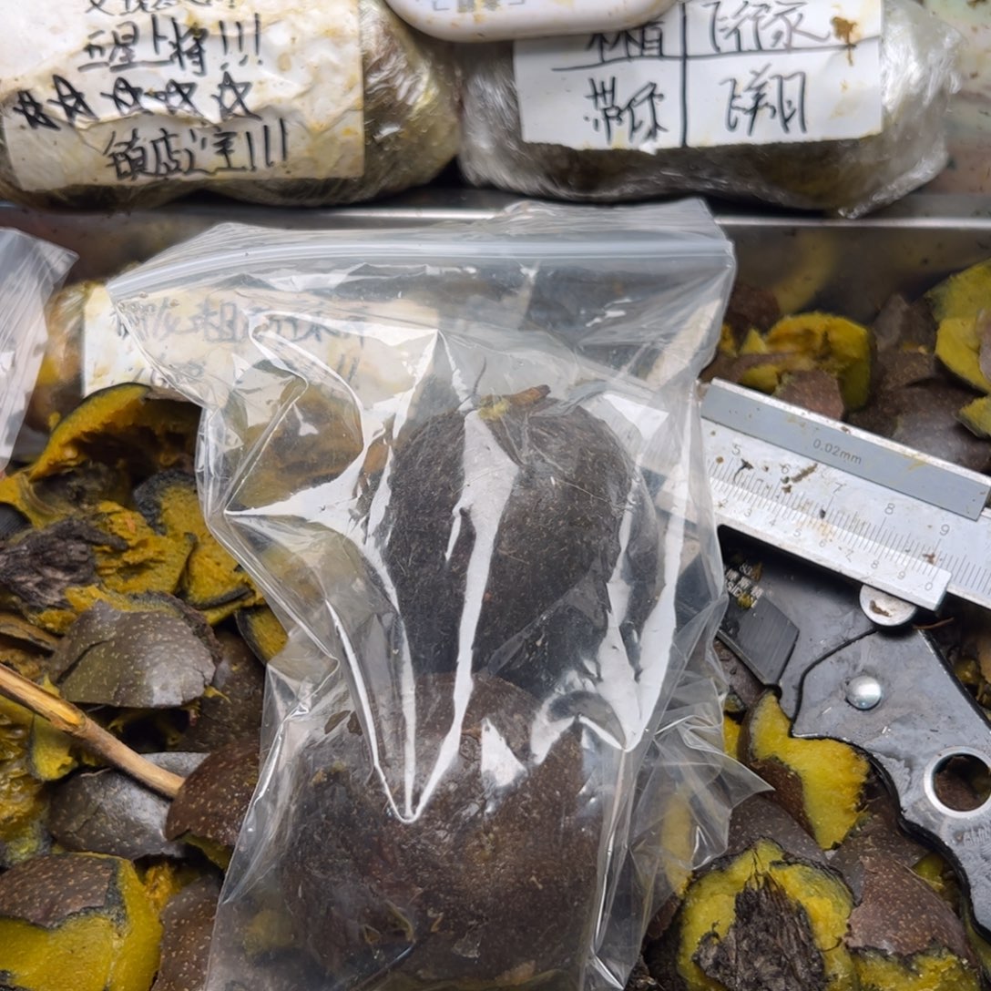 熊***非黑即白不看就不斤斤计较宝贝你姐姐家