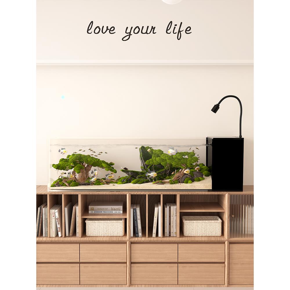 溪流缸客厅小型超白侧滤玻璃一体式新款免换水鱼缸家用桌面造景缸