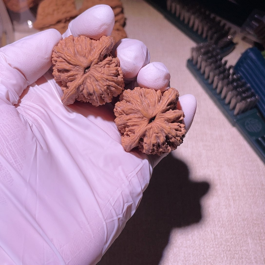 【闪购商品】38虎头