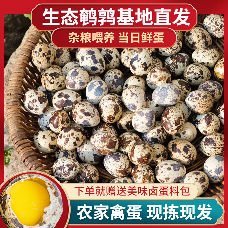新鲜鹌鹑蛋杂粮喂养鸟蛋整箱农家安全蛋宝宝孕妇辅食当天现捡卤味