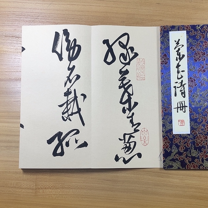 书法中书协中书协会员作品