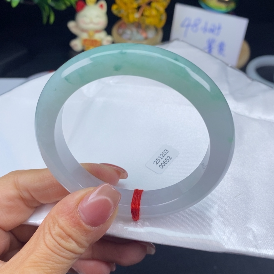翡翠未镶嵌颈饰手镯
