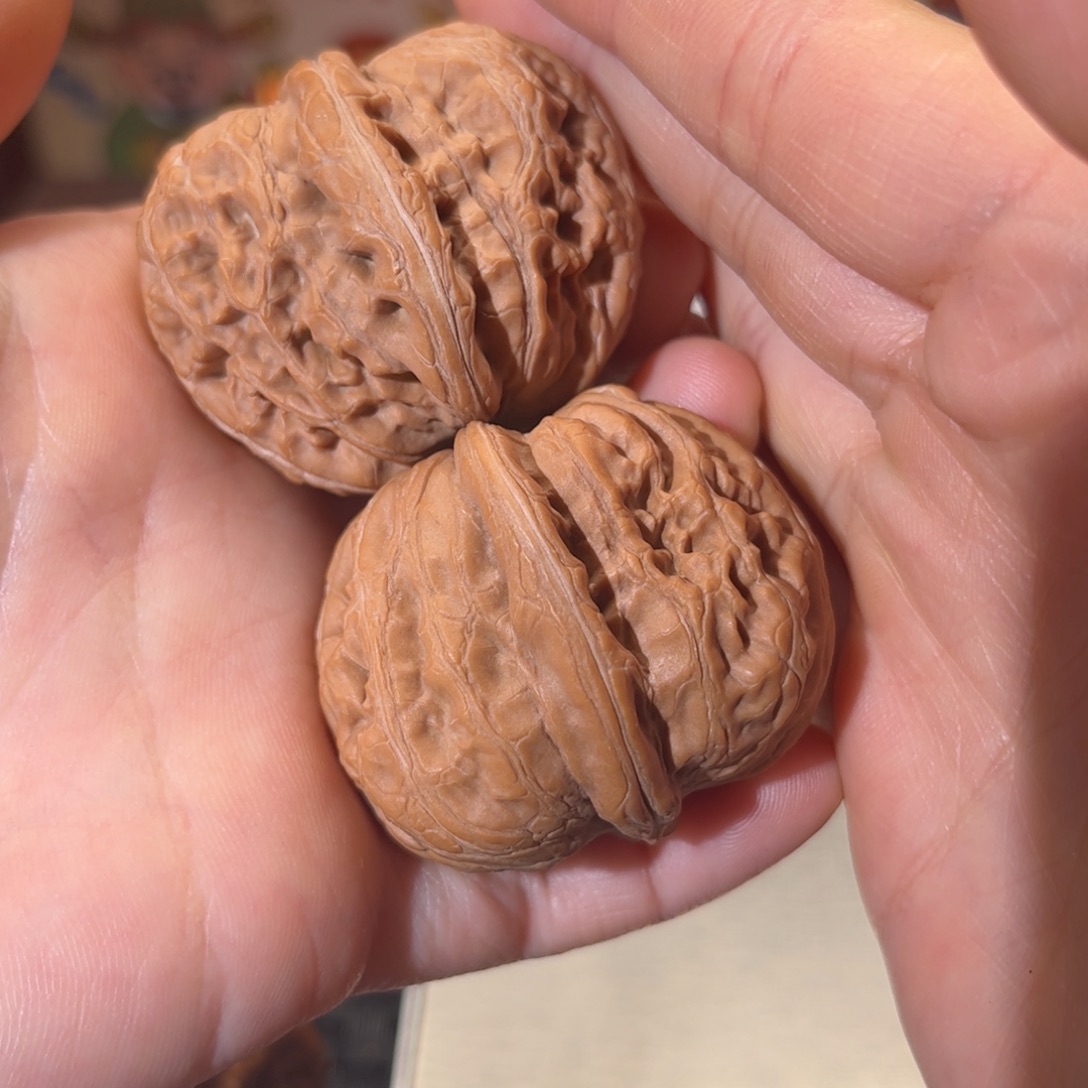 忆***核桃文玩元宝43尺