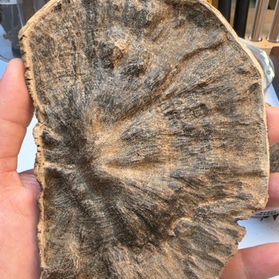 沉香摆件紫***晁海南野生高油国香24.4克