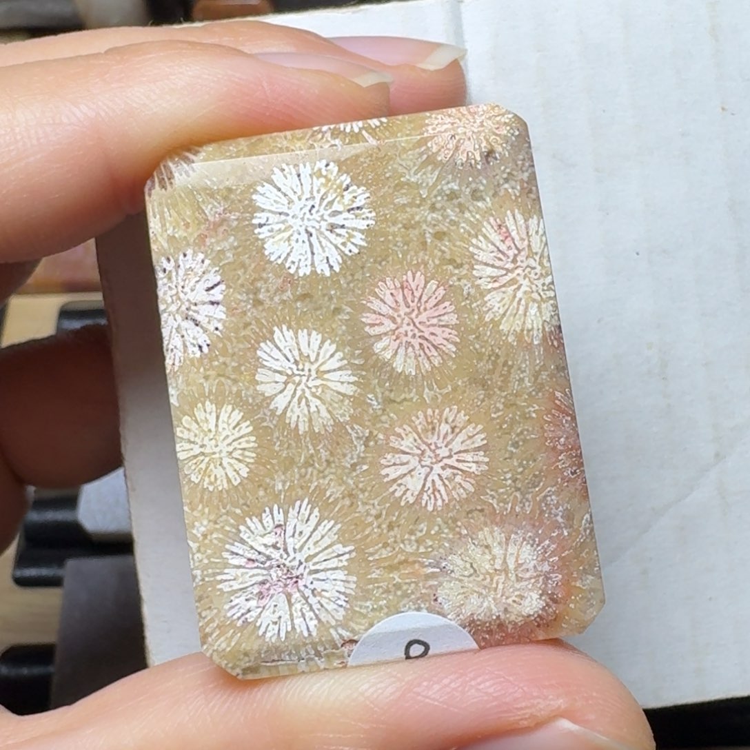硅化玉粉白皮花，有呼吸孔未镶嵌