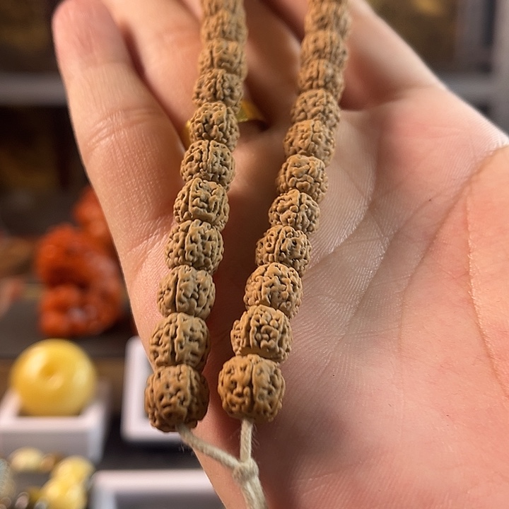 金刚菩提吊坠要*金刚一代龙