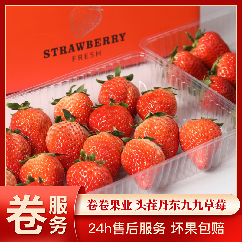 预售--正宗丹东99草莓核心产区奶油香甜