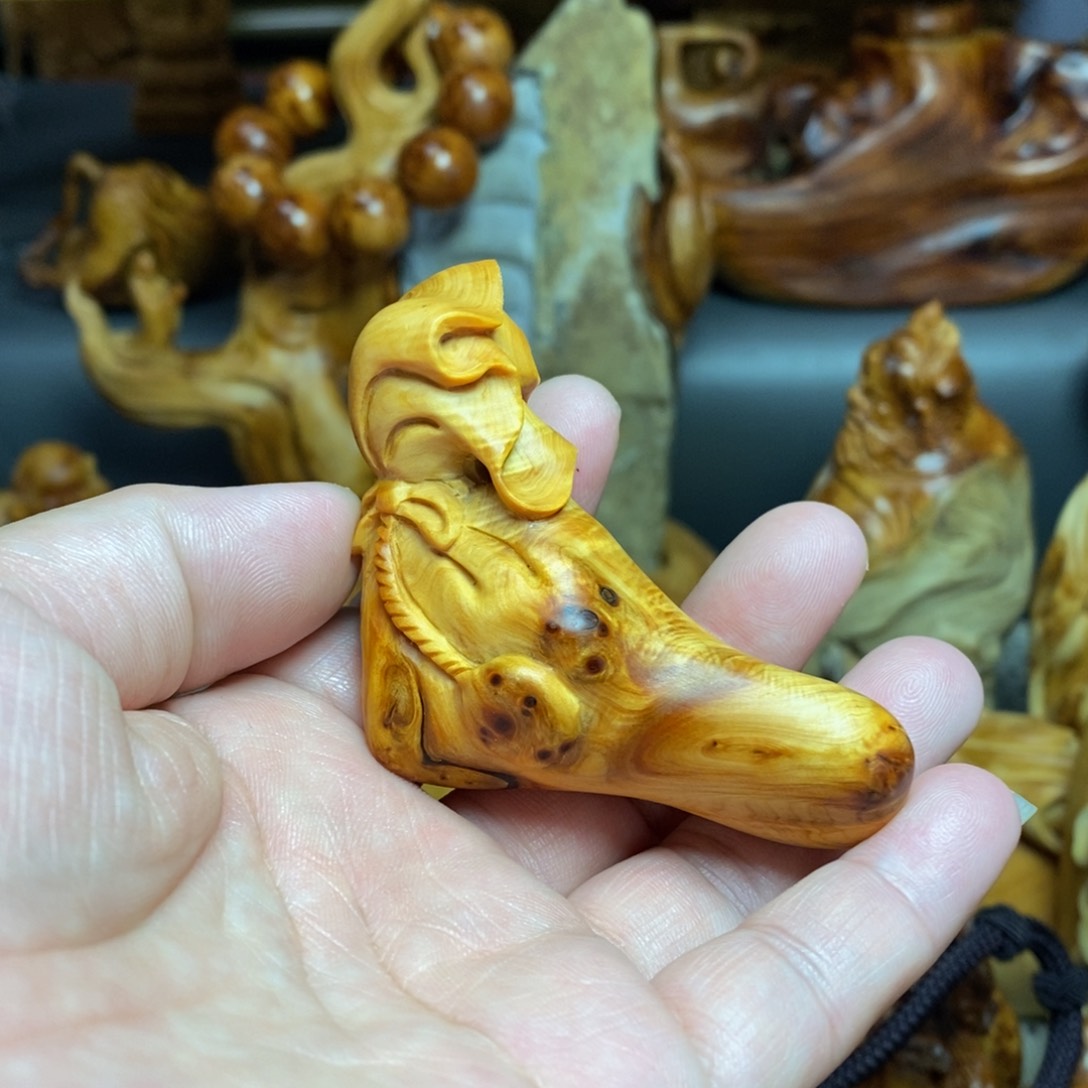 柏木（崖柏）太行山上