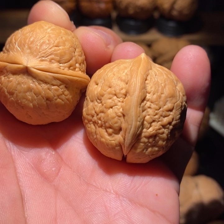 桃核吊坠金龟子34