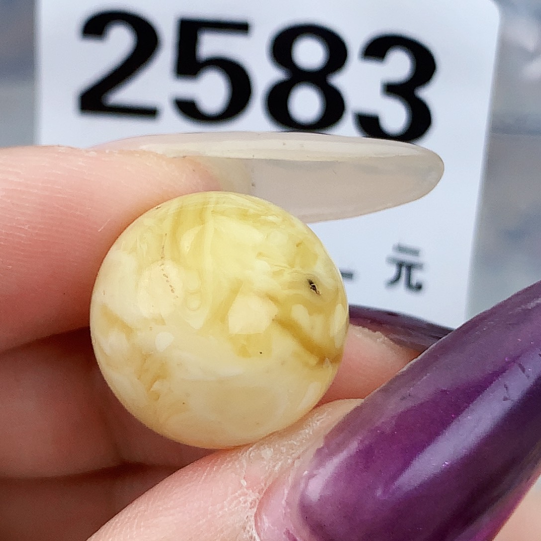 琥珀未镶嵌珠宝奇石16.2植物，粉