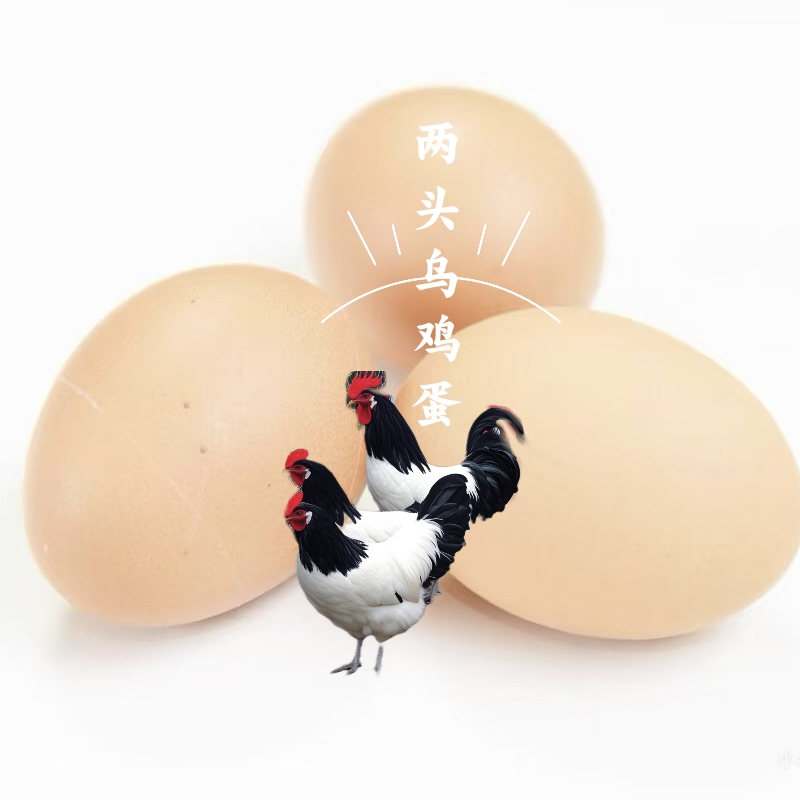 新鲜蛋两头乌鸡蛋早上刚下现捡蛋可孵化好吃的有营养