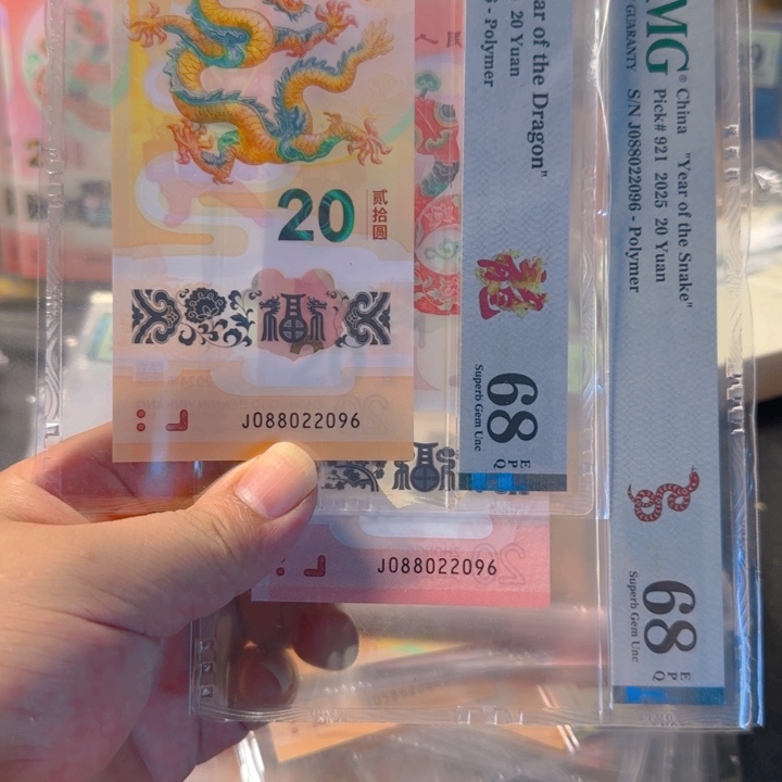 塑料088022096中国梦龙珠双胞胎全同68分