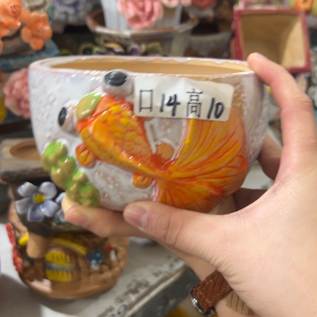 花盆，拍满20发货，退款拉黑