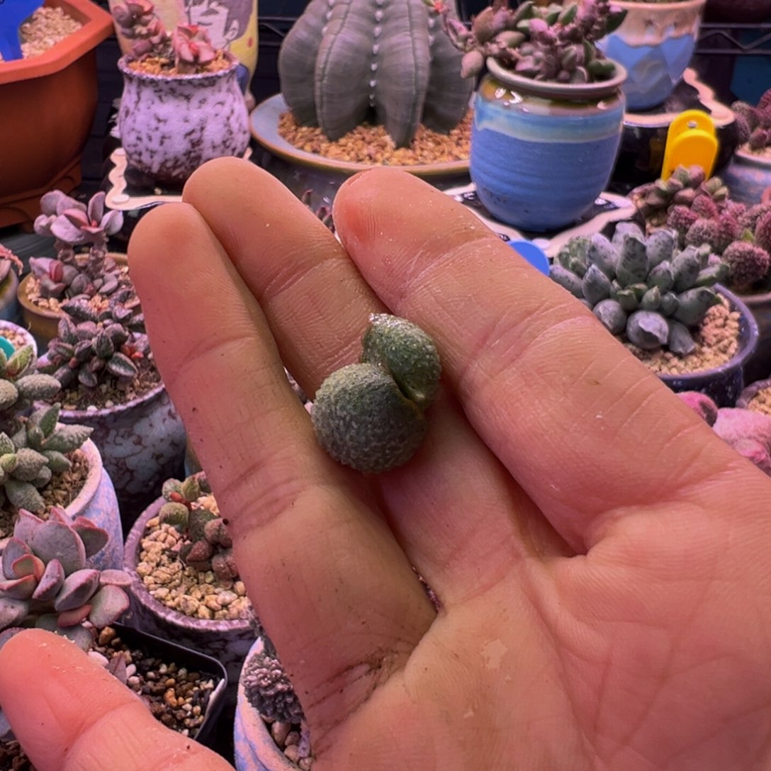 风****好的我知道你在想什么我