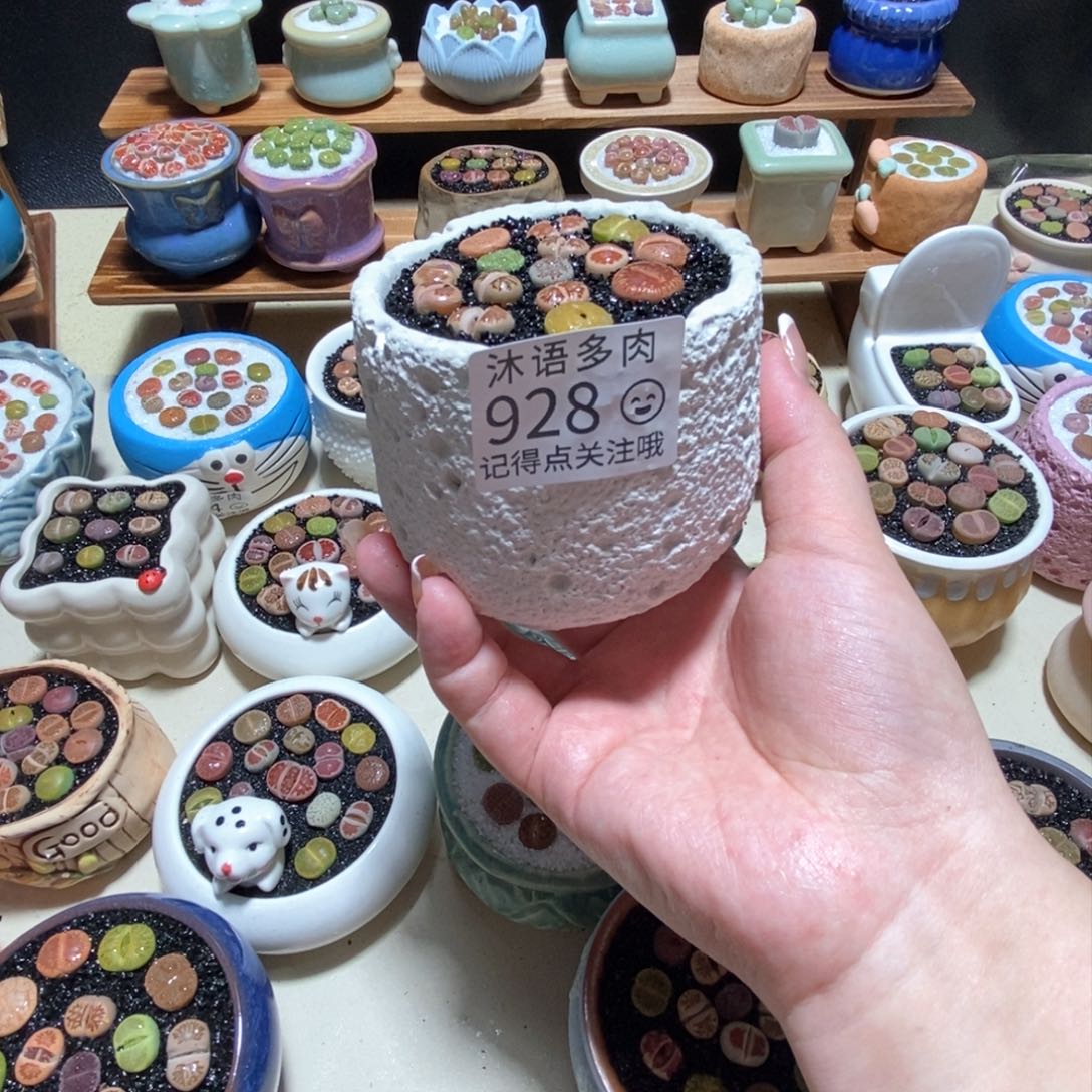 所见即所得 一物一拍928