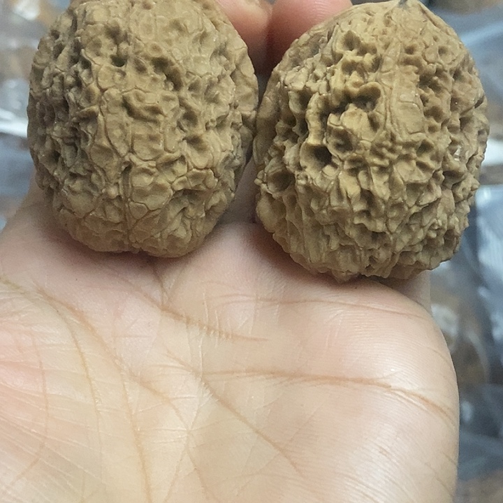 文玩核桃把件云南铁核桃基地12