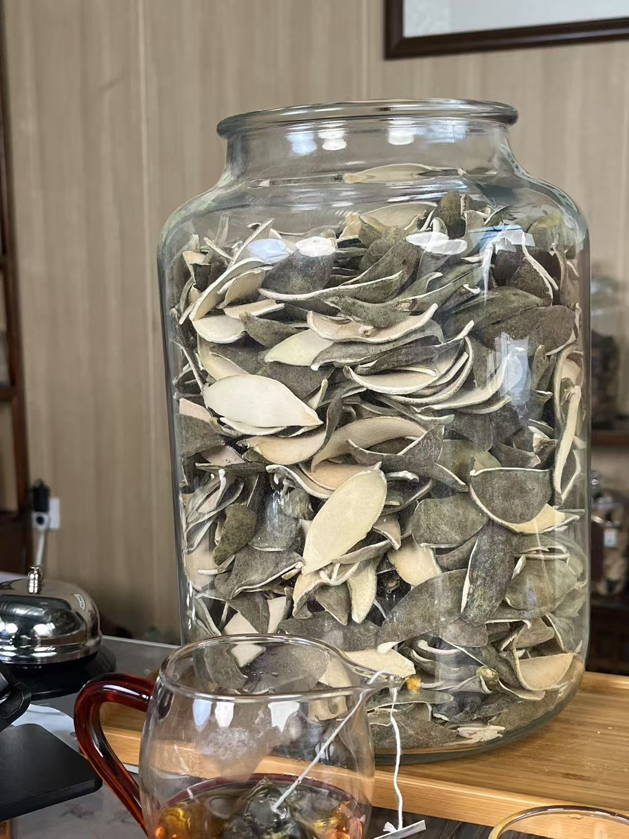 【新品上市】2025年广东化州老树单爪头采化橘红药香椰子香自然陈化