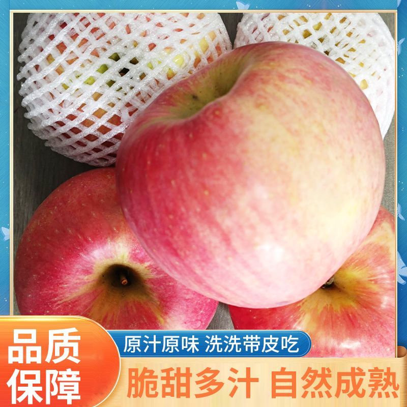 大连瓦房店y寒富红富士苹果y带箱产地直发新鲜脆甜多汁当季鲜果