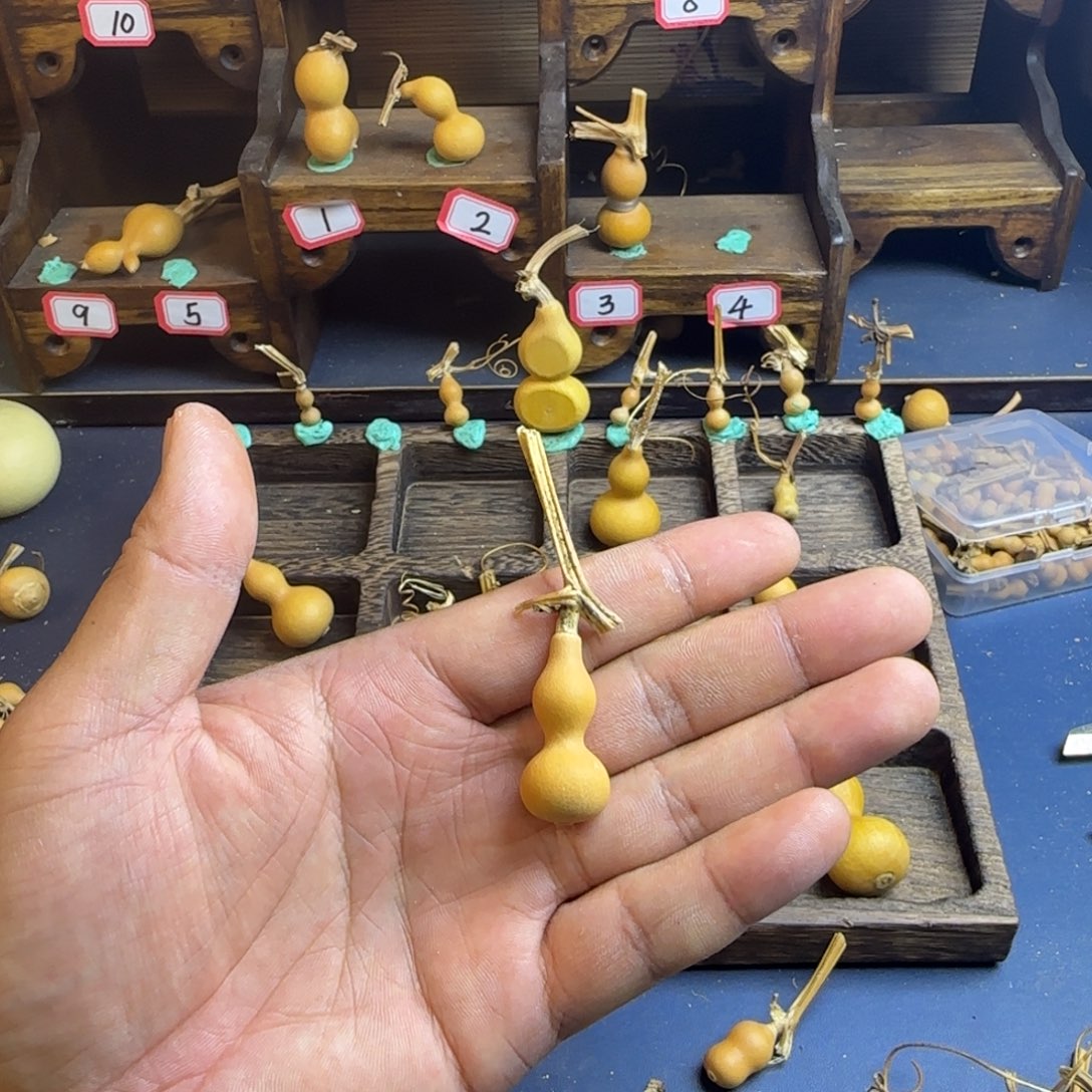 洋*洋我也是很喜欢这个节目了这个发布会都是