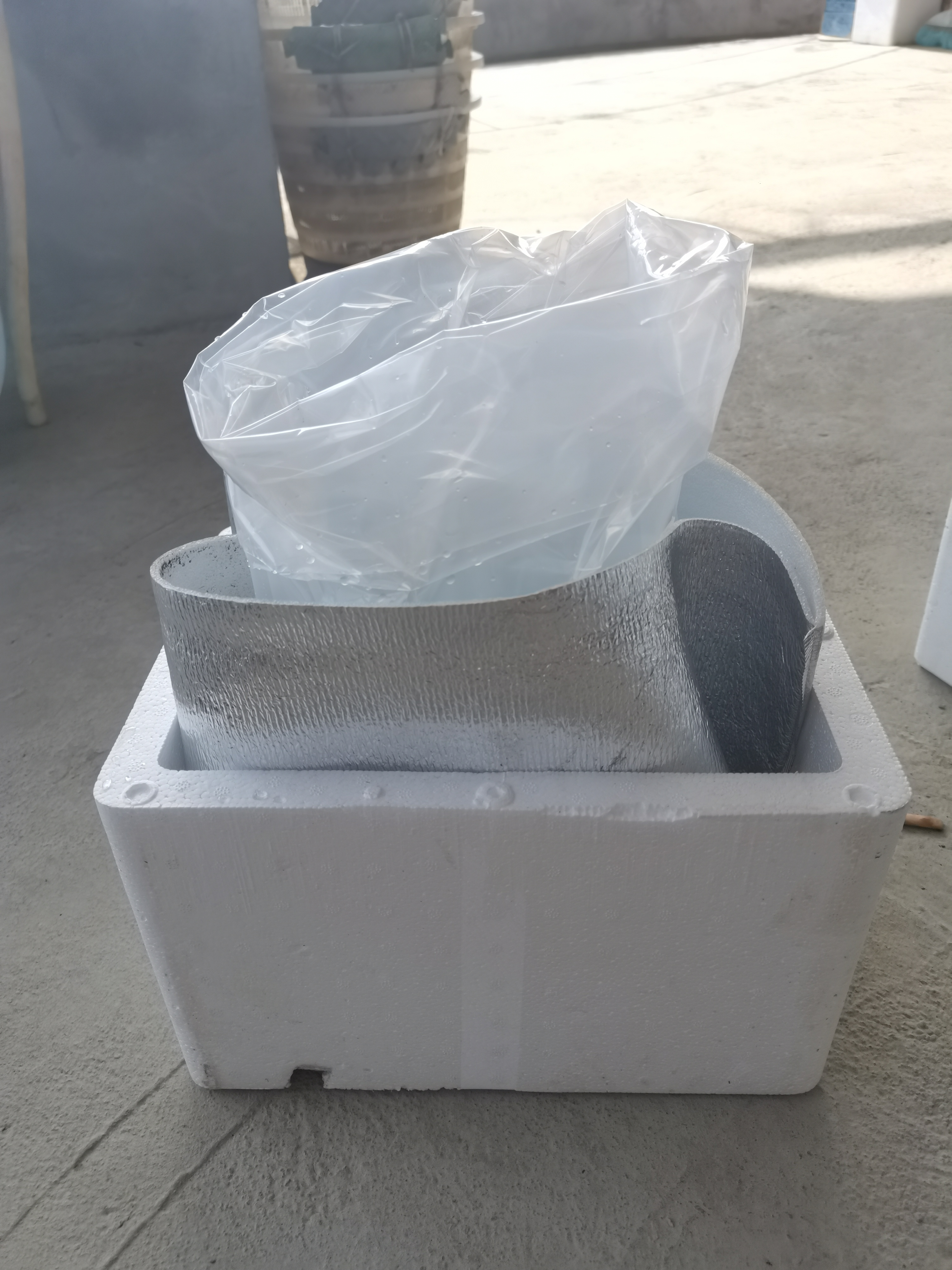 精品兰寿金鱼，包装