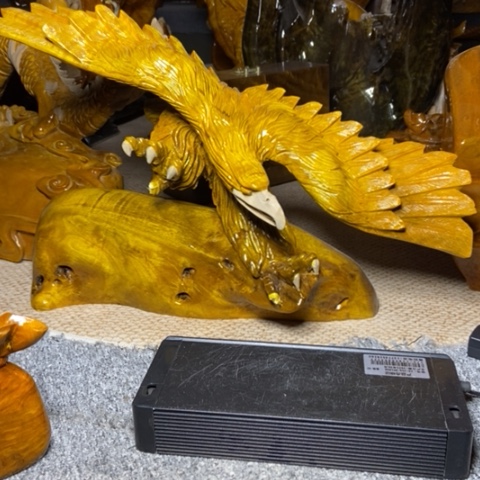 金丝楠大展宏图的