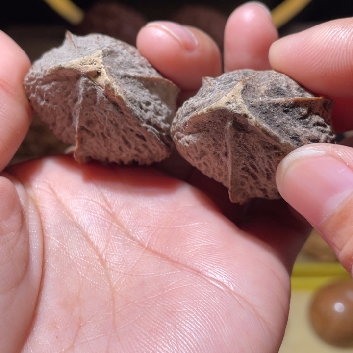 桃核把件金蟾橄榄核