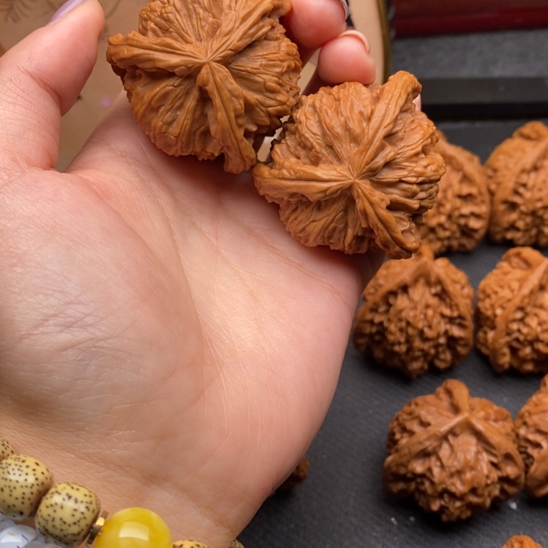 G*白狮子11111111111