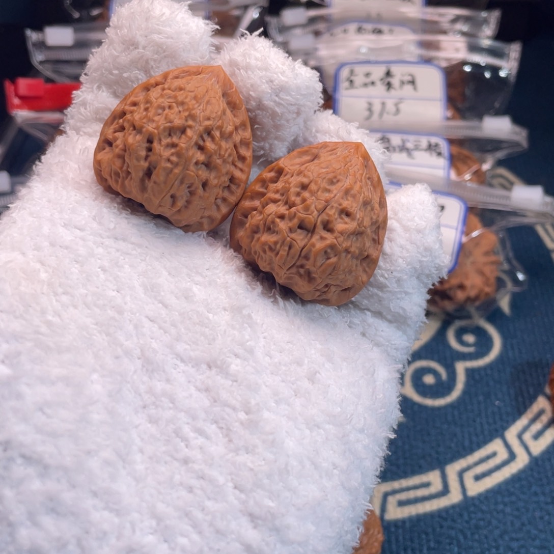 我****兜34蛇王！！！！！！！！！！！