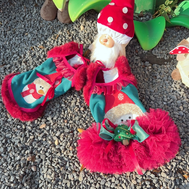 萌宠国风红色圣诞加绒公主裙 小熊泡沫宠物服饰原创