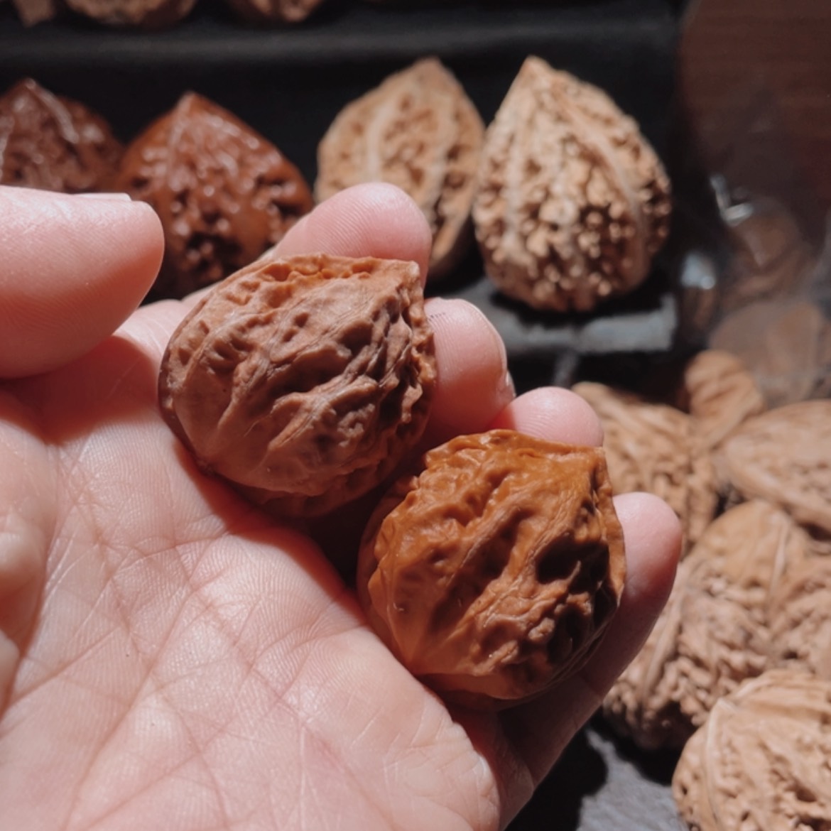 【闪购商品】文玩核桃把件东北楸子10