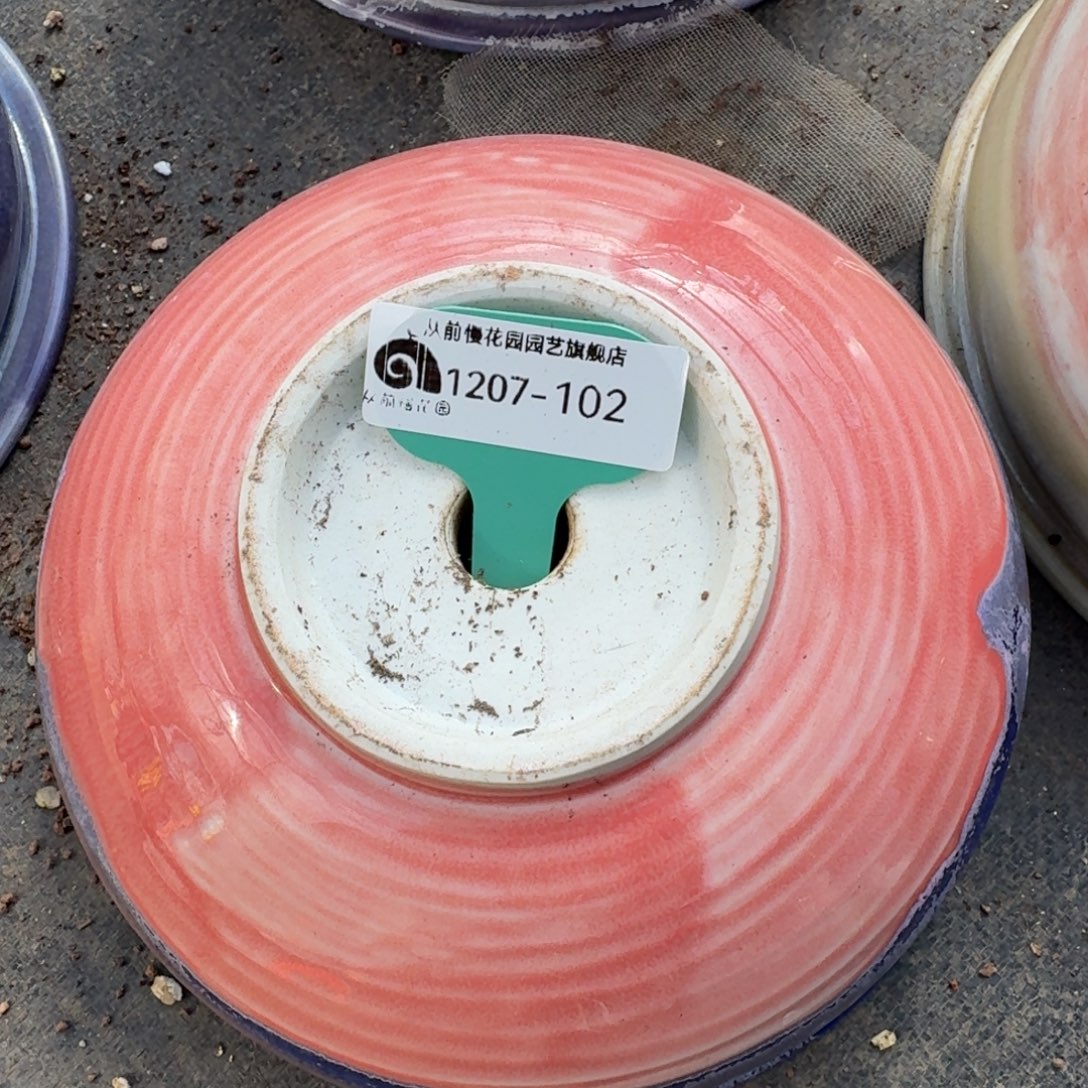 从前慢花园多肉编号1207.102