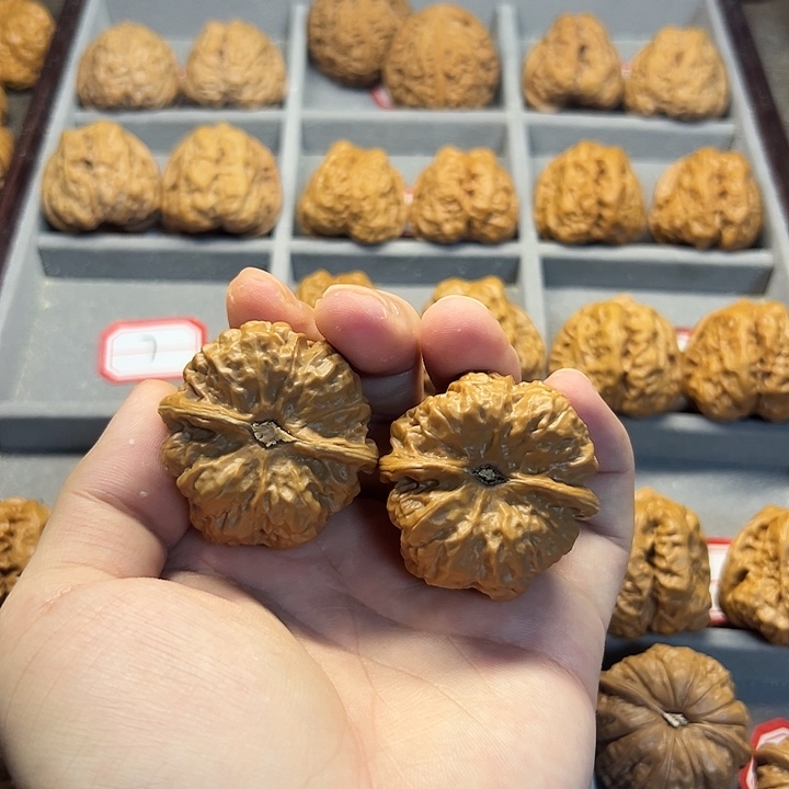 大叶紫檀（黑酸枝木类）