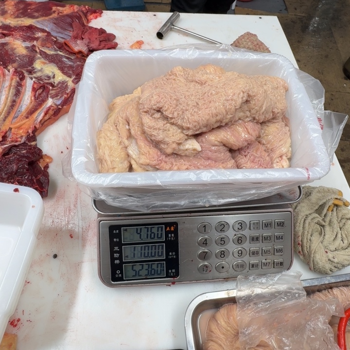 醒***悟9个月中国大陆马粗肠