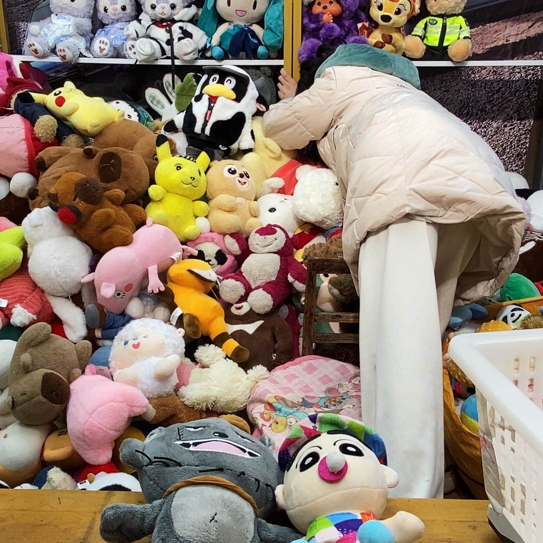 毛绒S***l毛绒玩具113