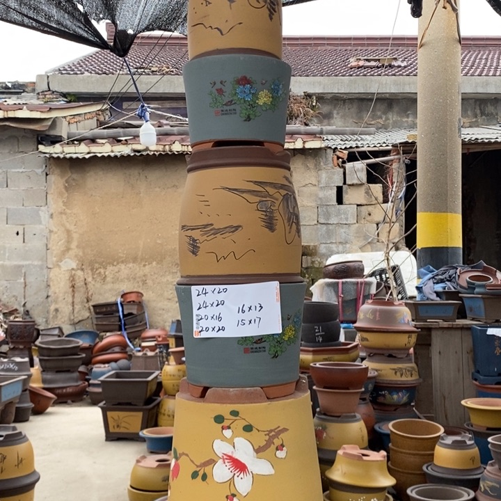 红陶这样我也可以去看