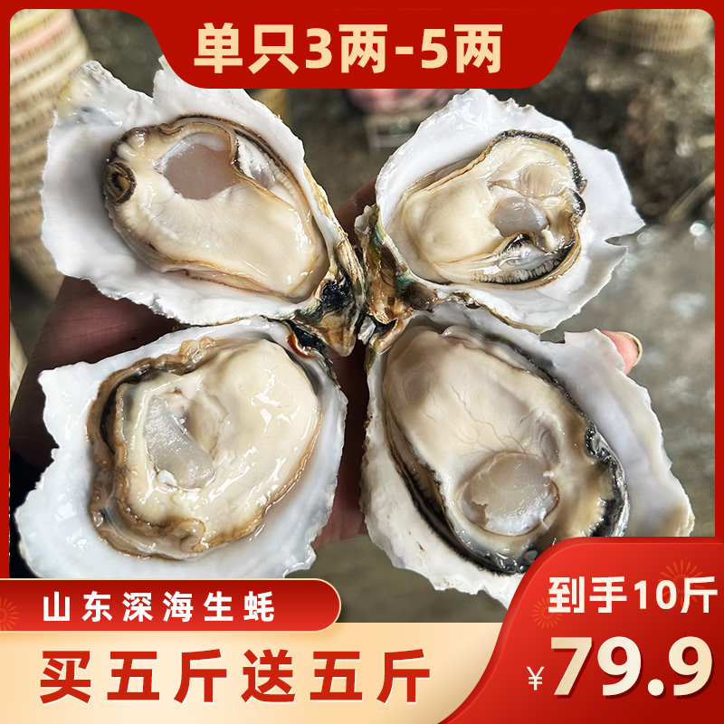 山东精品生蚝（每只3-5两）深海冷水蚝包肥包活海鲜三倍体5斤10斤