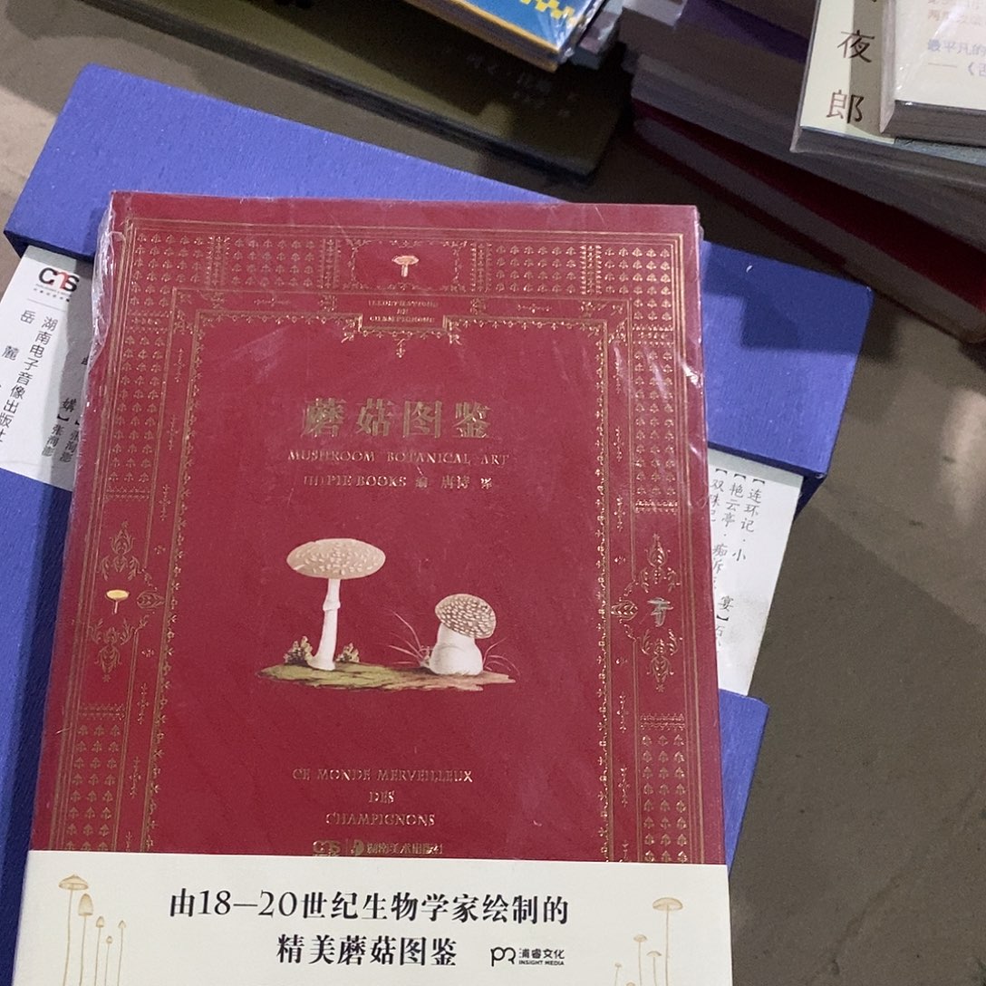 蘑菇图鉴………微瑕强光微瑕