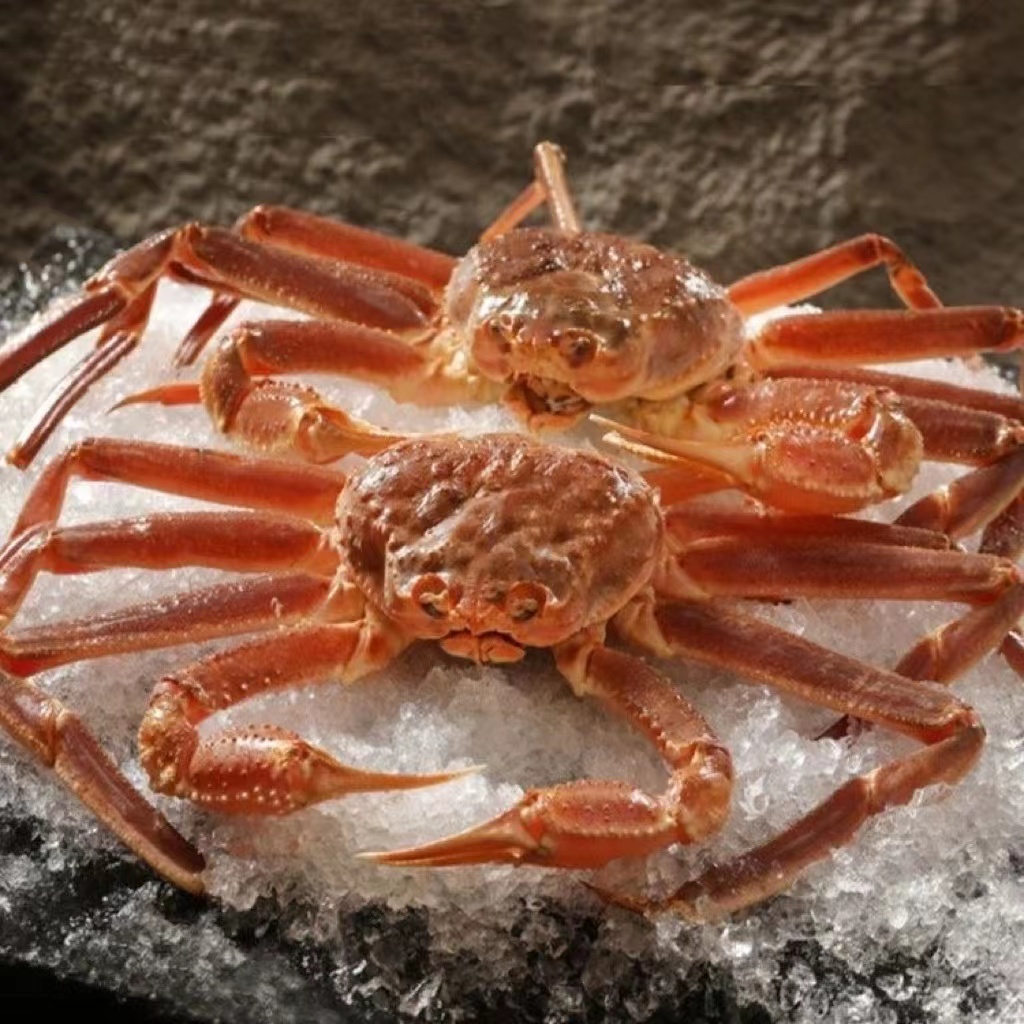 松叶蟹 顺丰冷链压冰发货 【部分有缺腿 介意勿拍】