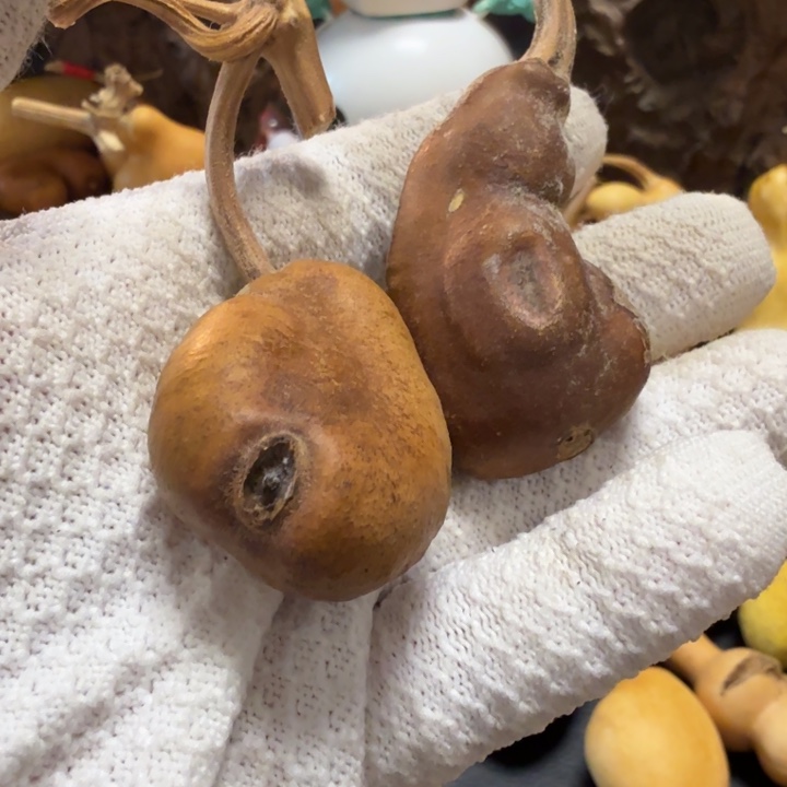 普***r6666666667777777777