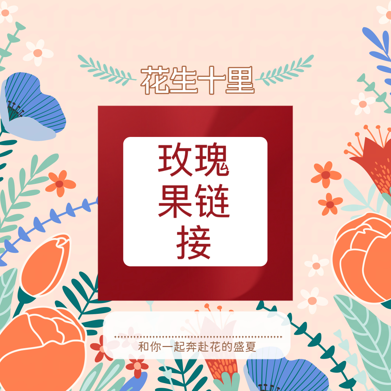 澳洲玫瑰果高档进口花